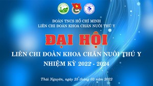 Kỷ niệm 91 năm Ngày thành lập Đoàn TNCS Hồ Chí Minh