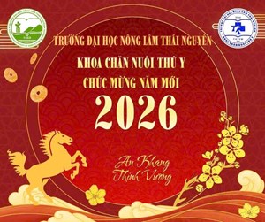 🌸 GẶP MẶT CHÀO XUÂN BÍNH NGỌ NĂM MỚI 2026 – KHỞI ĐẦU HÀNH TRÌNH MỚI 🌸