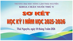 🎓 SƠ KẾT HỌC KỲ I - NĂM HỌC 2025 - 2026 🎓