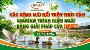 💥 “CÁC BỆNH MỚI NỔI TRÊN THỦY CẦM, CHƯƠNG TRÌNH KIỂM SOÁT BẰNG GIẢI PHÁP CỦA INVET” 