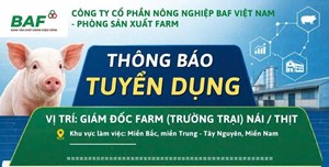 🚨 BAF VIỆT NAM TUYỂN DỤNG GIÁM ĐỐC FARM (TRƯỞNG TRẠI) NÁI / THỊT