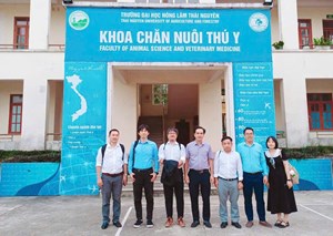 KHOA CHĂN NUÔI THÚ Y – TUAF VÀ ĐẠI HỌC HIROSHIMA, NHẬT BẢN: THÚC ĐẨY HỢP TÁC ĐÀO TẠO VÀ NGHIÊN CỨU KHOA HỌC