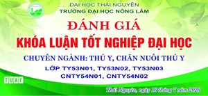 🎓 ĐÁNH GIÁ KHÓA LUẬN TỐT NGHIỆP ĐẠI HỌC – KHẲNG ĐỊNH NĂNG LỰC, SẴN SÀNG HỘI NHẬP! 🎓